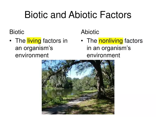 What are the abiotic factors in a forest ecosystem?